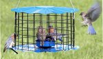 (image for) BBF1C - Meal Worm Feeder